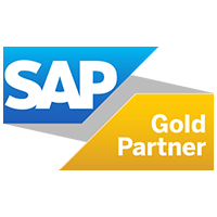 SAP guldpartner Stretch Evolve